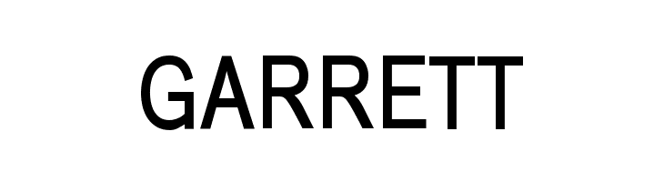 BabelSans-Bold  Free Fonts Download