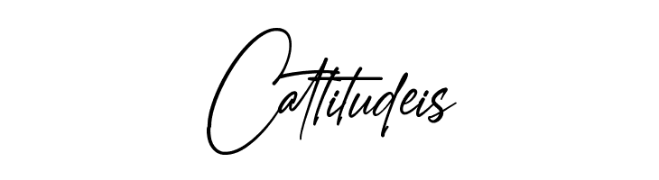 Amostely Signature  Free Fonts Download