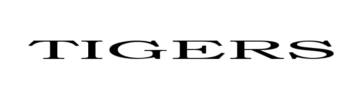 Steamroller  Free Fonts Download