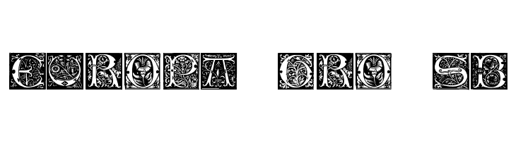 Initials TFB  Free Fonts Download