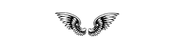 wings of wind tfb  Free Fonts Download