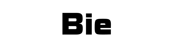 RoGSanSrfStd-UB  Free Fonts Download