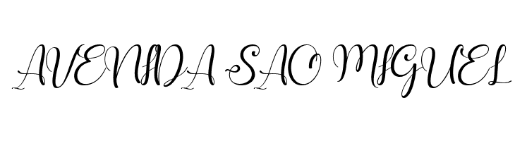 shunligh Personal Use Only  Free Fonts Download