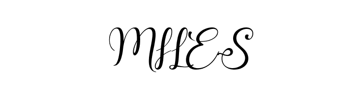 shunligh Personal Use Only  Free Fonts Download