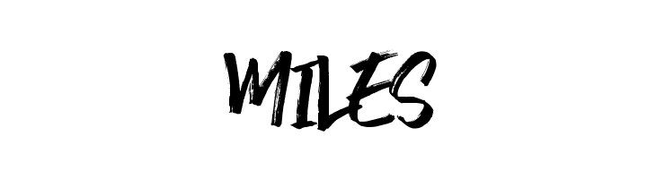 Wrong Hunt  Free Fonts Download