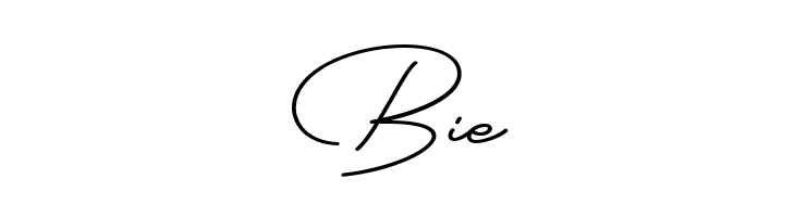 Blankid  Free Fonts Download