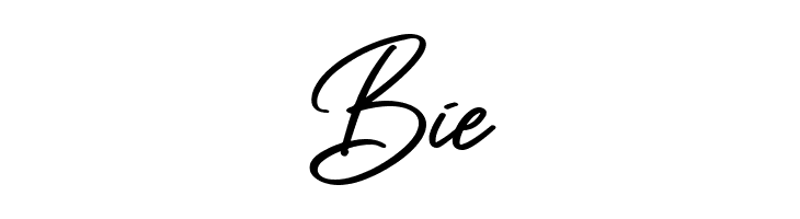 Satturday Collection  Free Fonts Download