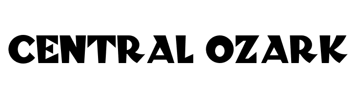 Blitzkrieg NF  Free Fonts Download