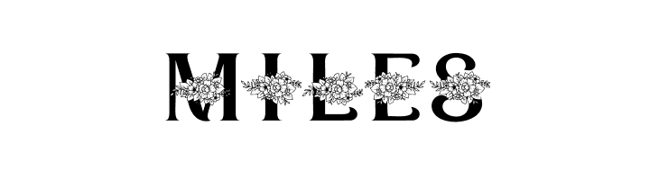 Heltavia Personal Use  Free Fonts Download