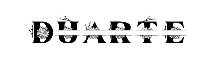 Kalveya Personal Use  Free Fonts Download