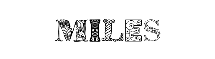 SnetaRegular  Free Fonts Download