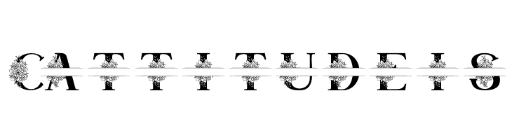 Satine Personal Use  Free Fonts Download