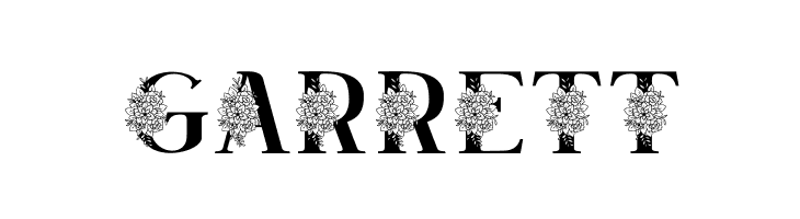 Satine Personal Use  Free Fonts Download