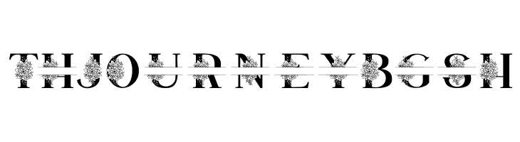 Satine Personal Use  Free Fonts Download