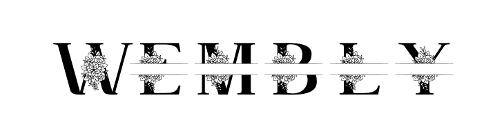 Satine Personal Use  Free Fonts Download