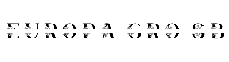 Satine Personal Use  Free Fonts Download