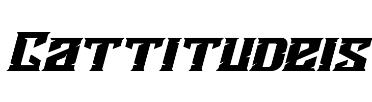 Agnostic Italic  Free Fonts Download