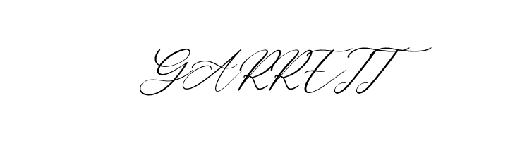Bobbi Jeffina Italic  Free Fonts Download