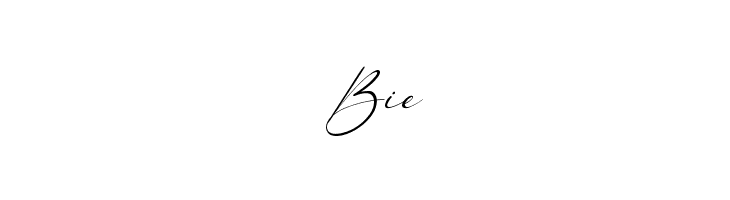 Alloystan Italic  Free Fonts Download