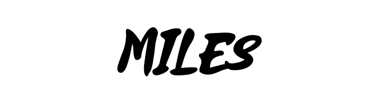 Fleepavlop Bold  Free Fonts Download