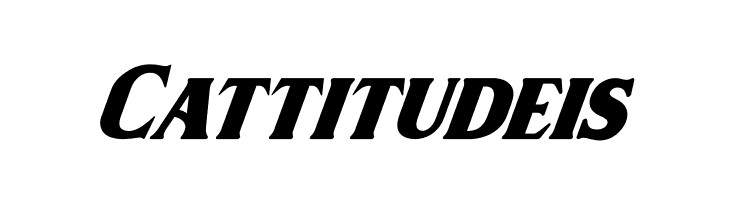 Wilson hawk Italic  Free Fonts Download