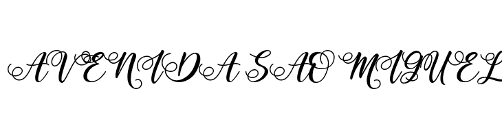 Cointa  Free Fonts Download