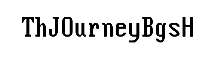 Flexi IBM VGA True  Free Fonts Download