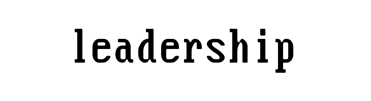 Flexi IBM VGA True  Free Fonts Download