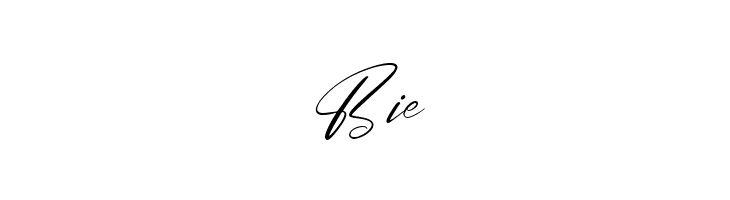 Brittany Angella  Free Fonts Download