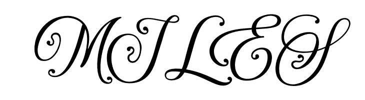 Agenda King  Free Fonts Download