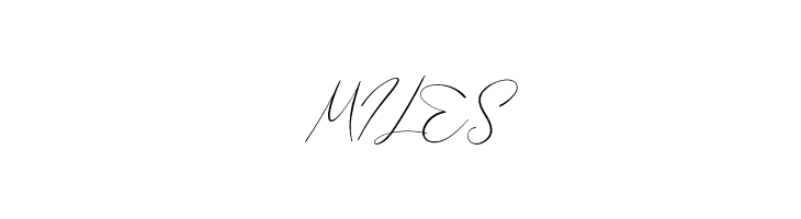 Bellamy Signature  Free Fonts Download