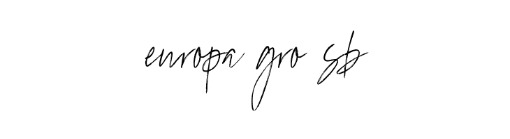 MarvelousPhotographScript-Reg  Free Fonts Download