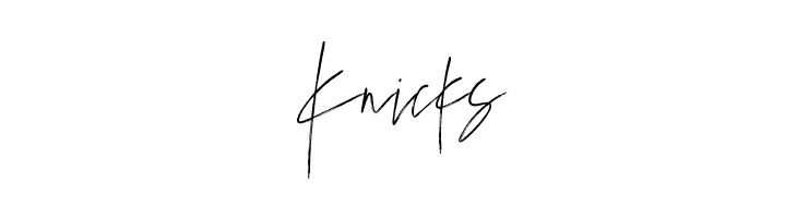 Marvelous Photograph Script Reg  Free Fonts Download