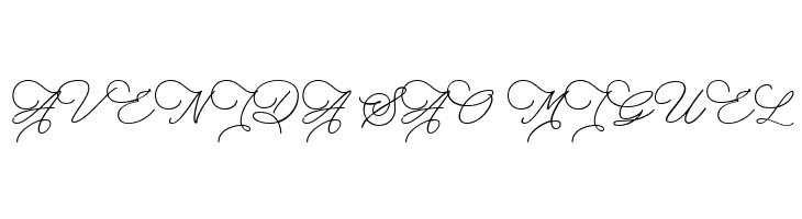 The Saily  Free Fonts Download