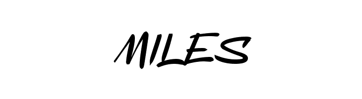 Apa Bedone 11 12  Free Fonts Download