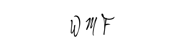 Andragogy Signature  Free Fonts Download