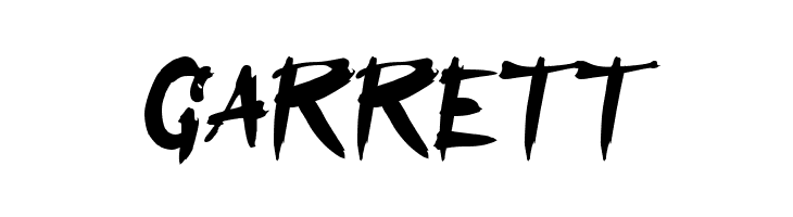 Assassin Ninja  Free Fonts Download