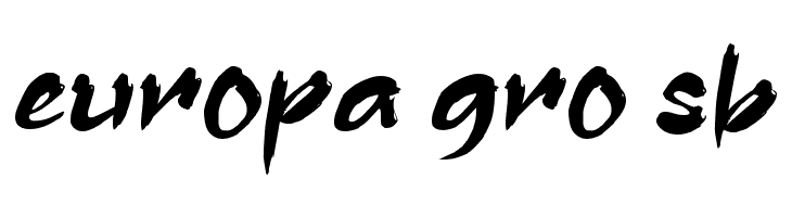 Assassin Ninja  Free Fonts Download