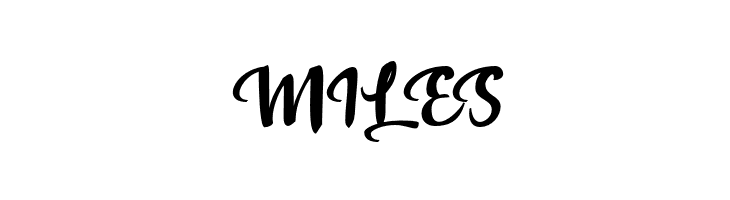 Alam Raya  Free Fonts Download