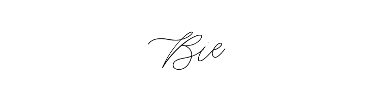 Fairy Lavender  Free Fonts Download