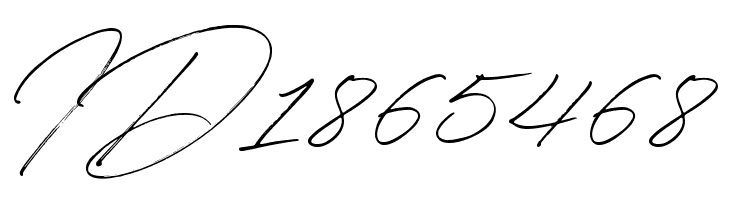 Winterlady  Free Fonts Download