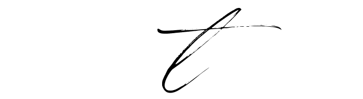 Winterlady  Free Fonts Download