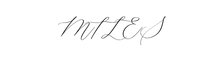 Silverweed  Free Fonts Download