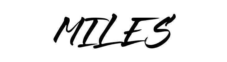 Misty Black  Free Fonts Download