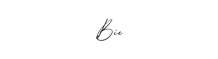 Almondita  Free Fonts Download