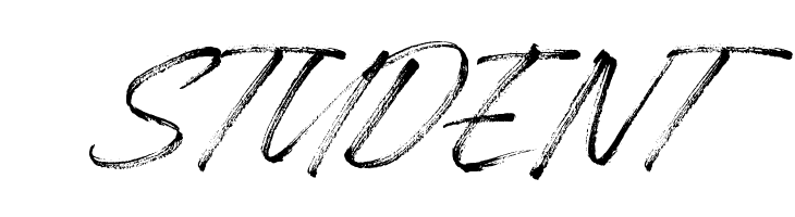 Baguette  Free Fonts Download