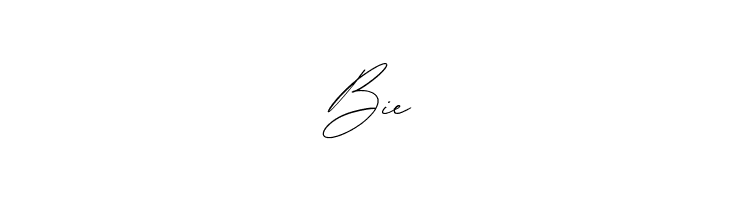 Antonio Fischer  Free Fonts Download