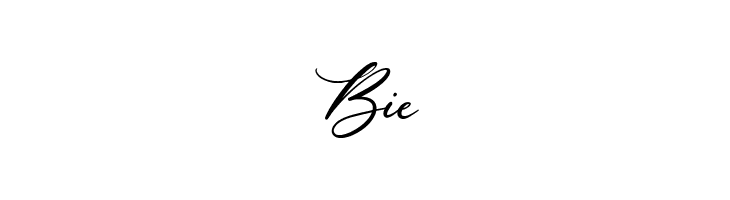 Lavineta  Free Fonts Download
