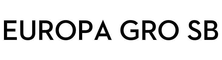 Iron Fist  Free Fonts Download
