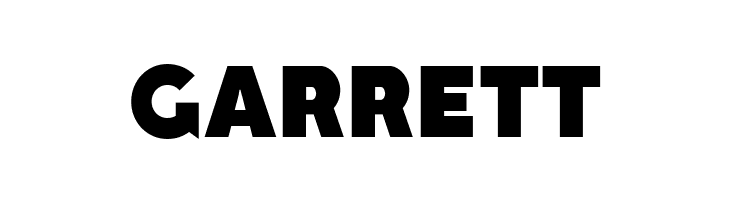 Type02 Bold  Free Fonts Download